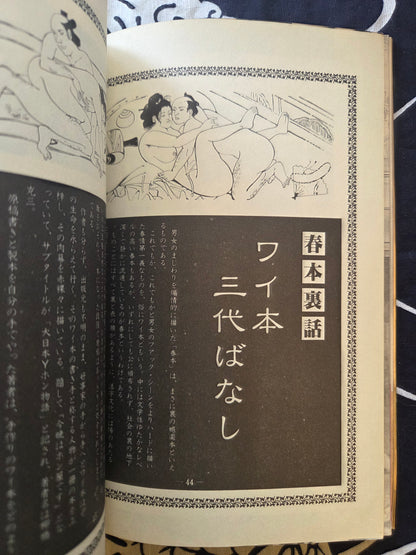 Secret Picture Book - SM Fan Special (1983)