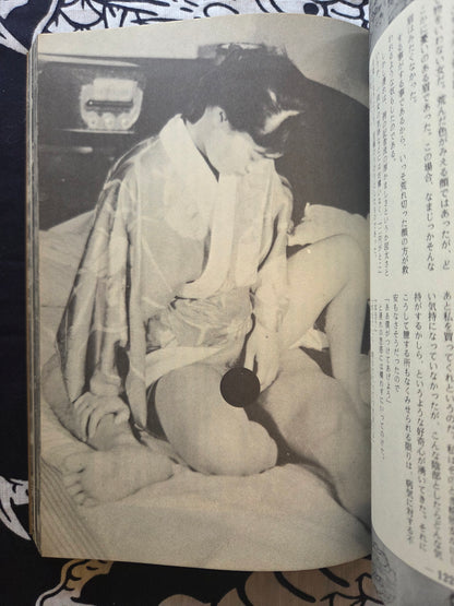 Secret Picture Book - SM Fan Special (1983)