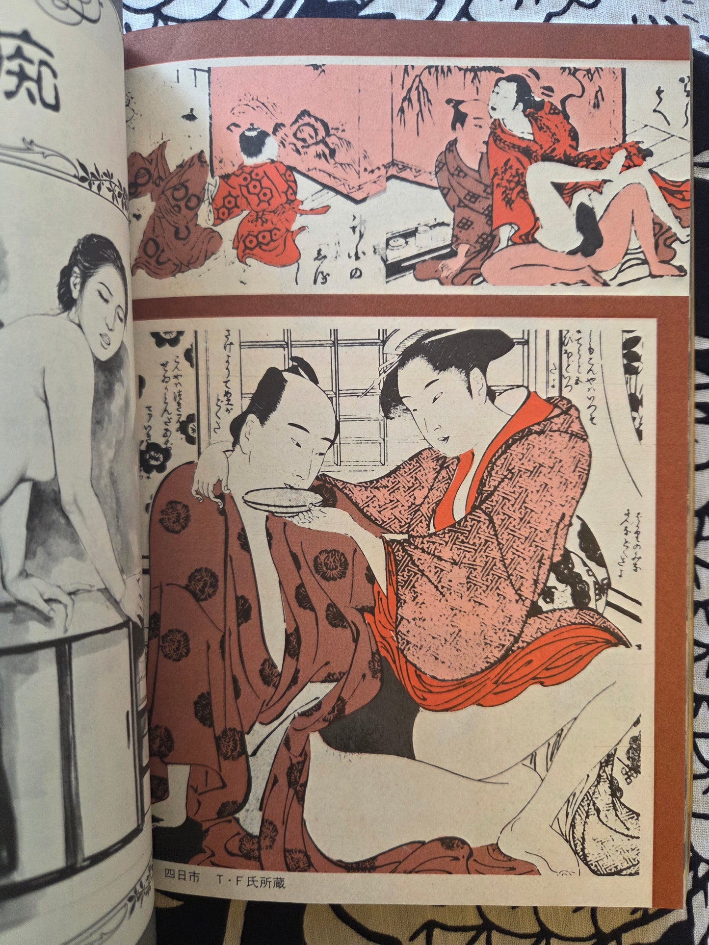 Secret Picture Book - SM Fan Special (1983)