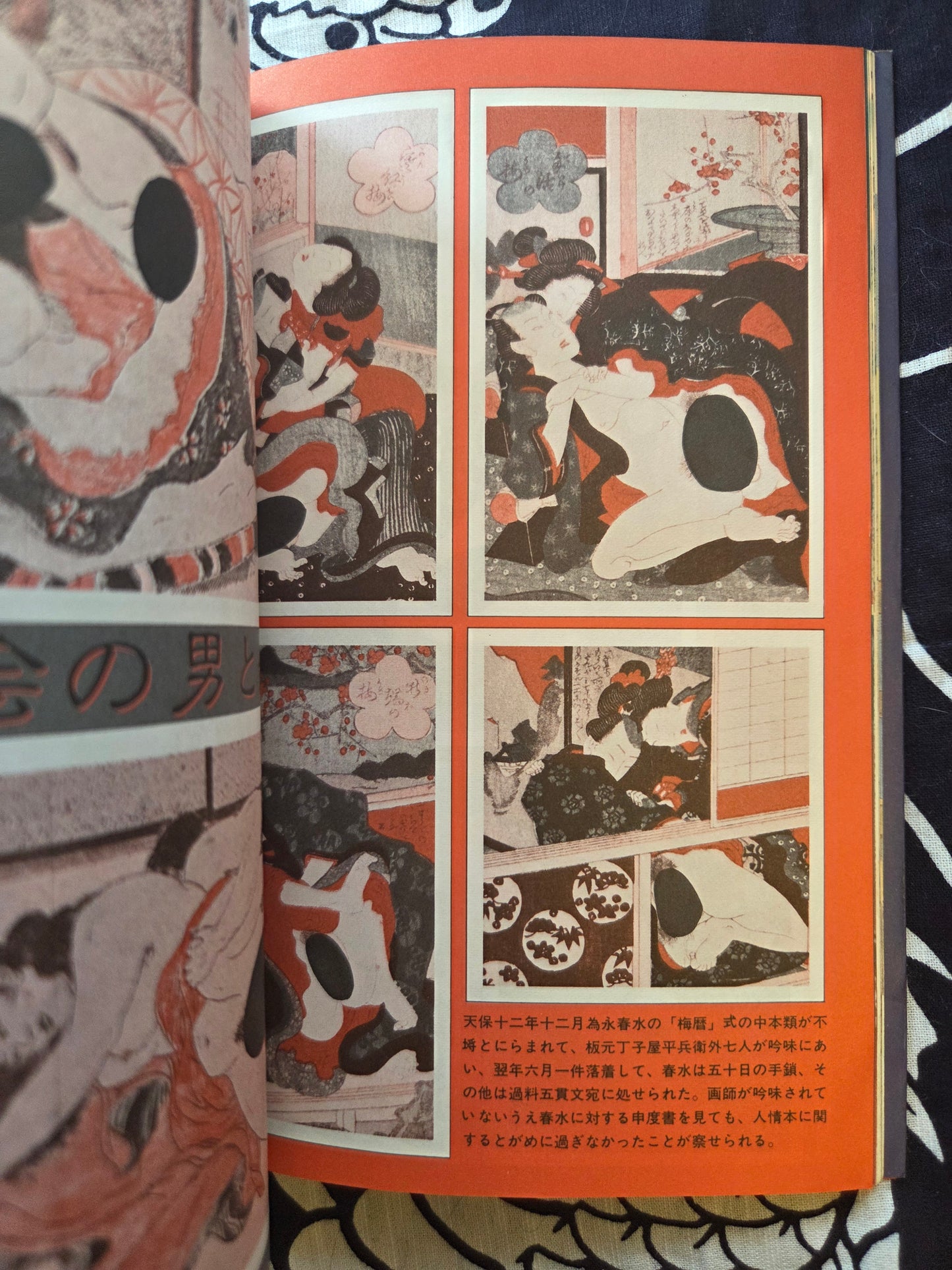 Masterpieces From The Pillow Book Collection - SM Mania Special (1983)