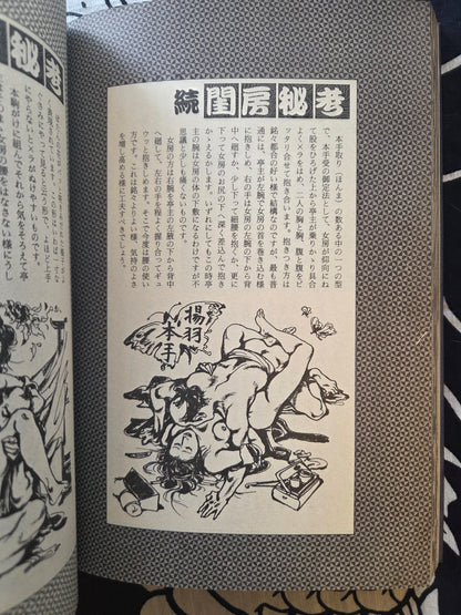 Masterpieces From The Pillow Book Collection - SM Mania Special (1983)