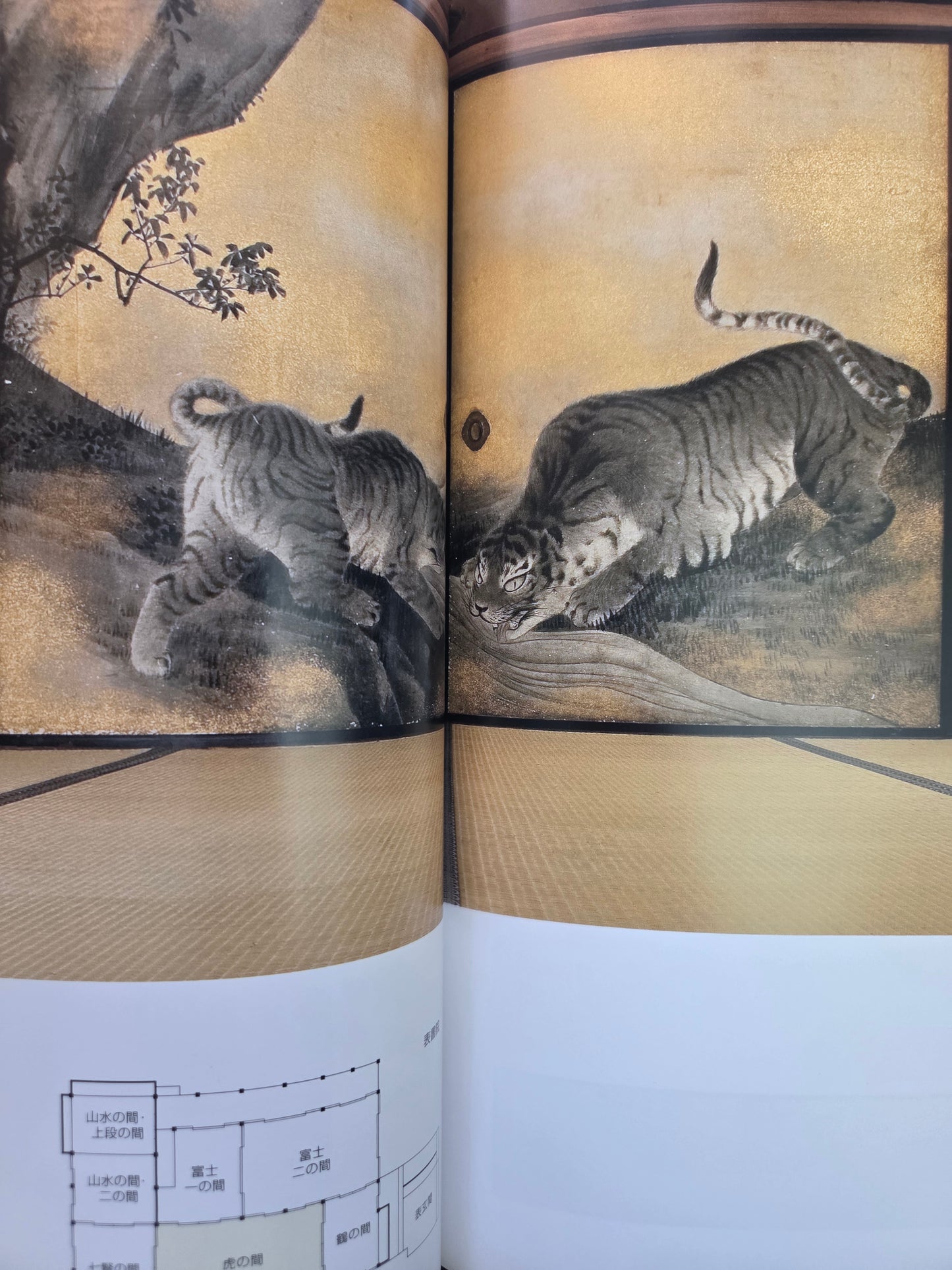 The Mural Art of Kotohira-gu Shrine - Okyo, Jakuchu and Gantai