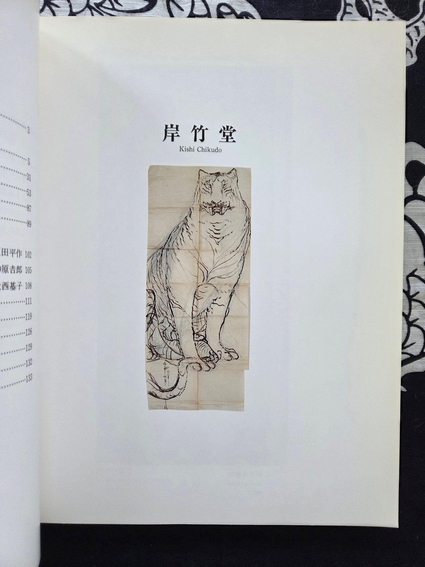 A Kyoto Painter Fascinated By Animals - Kayo Yamaguchi (1992)