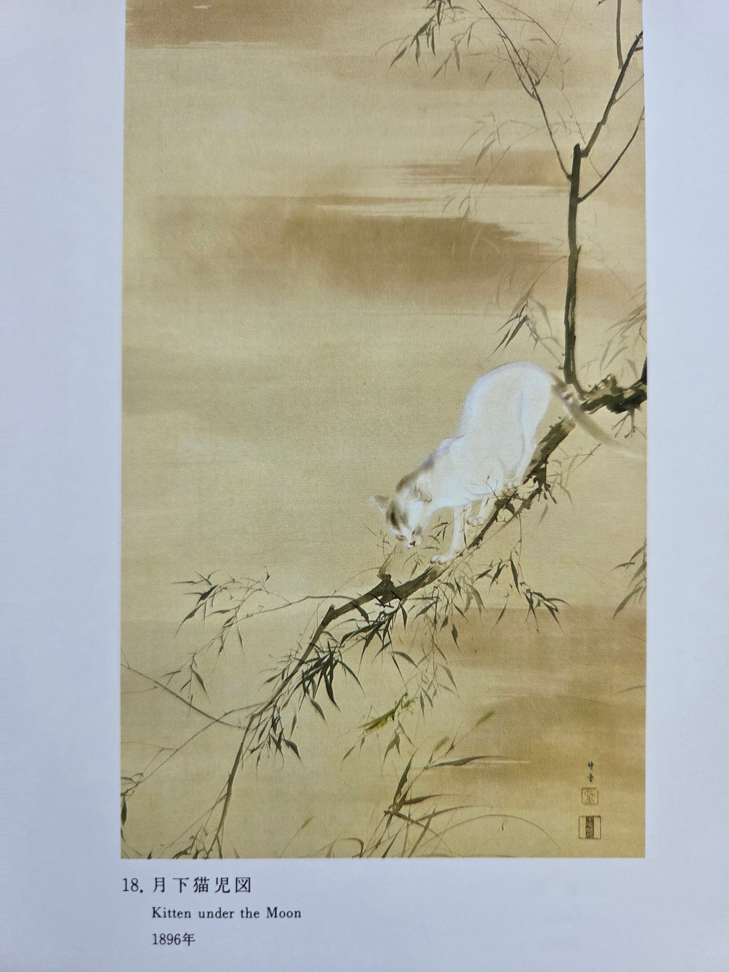 A Kyoto Painter Fascinated By Animals - Kayo Yamaguchi (1992)