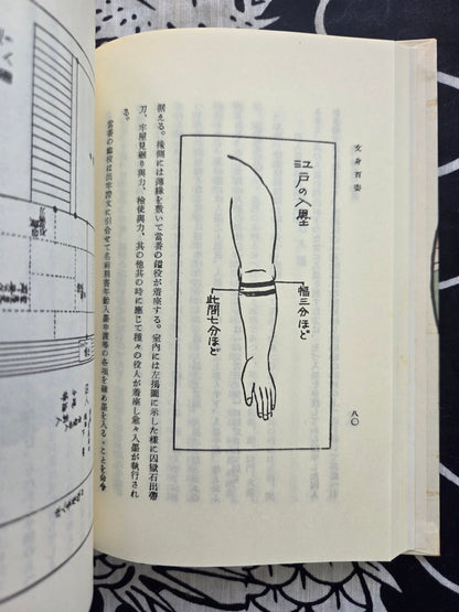 Bunshin 100 Figures - Shigeru Yubayashi (1987)