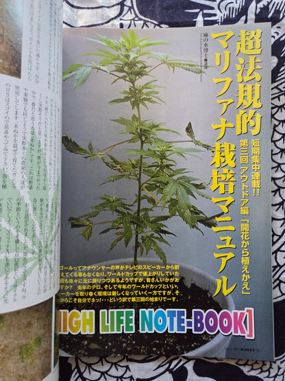 BURST Magazine - August 2002