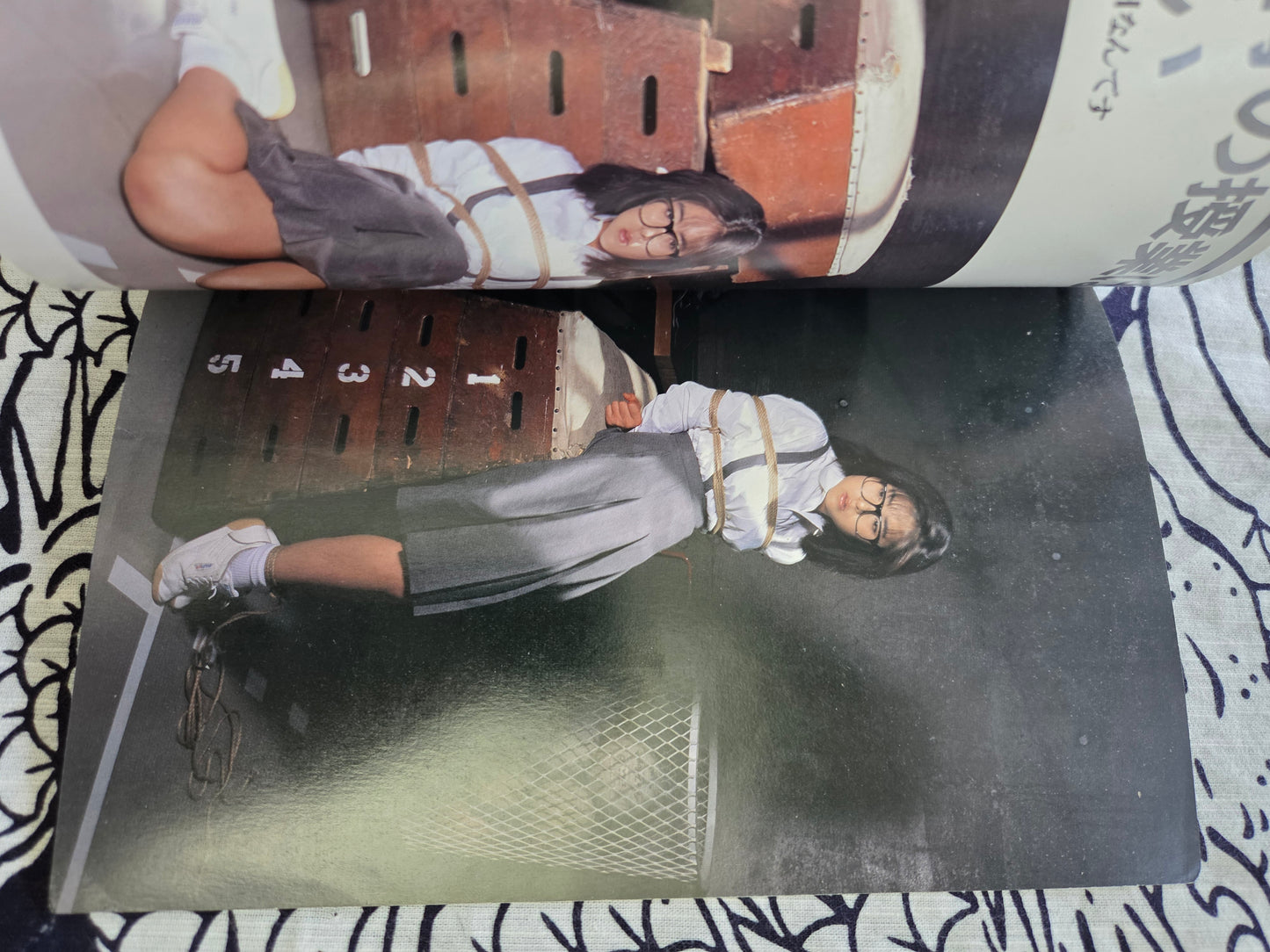 Pleasure and Sadism Photo Book - Sanwa Publishing (1988)