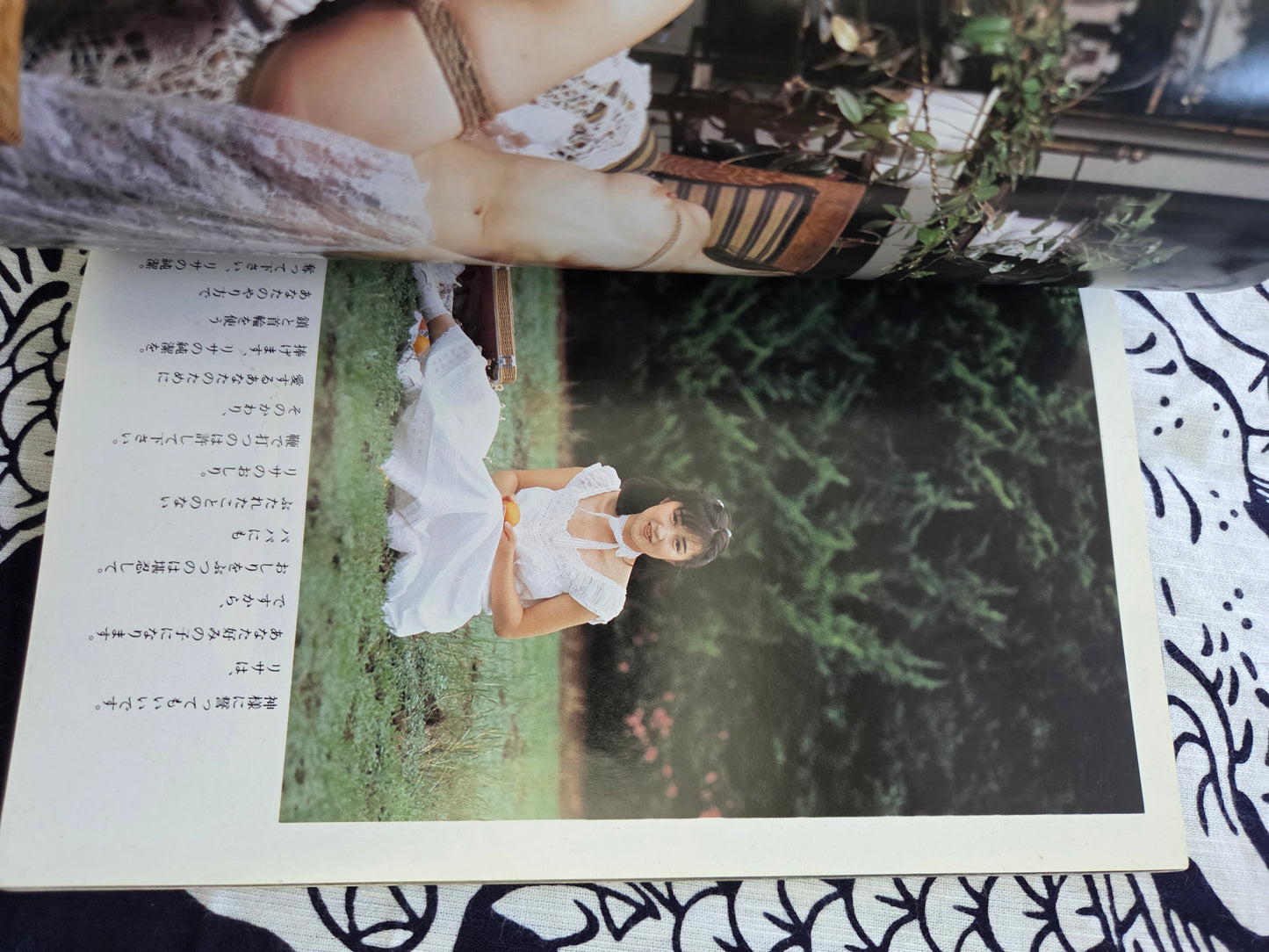 Pleasure and Sadism Photo Book - Sanwa Publishing (1988)