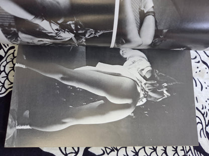 Pleasure and Sadism Photo Book - Sanwa Publishing (1988)