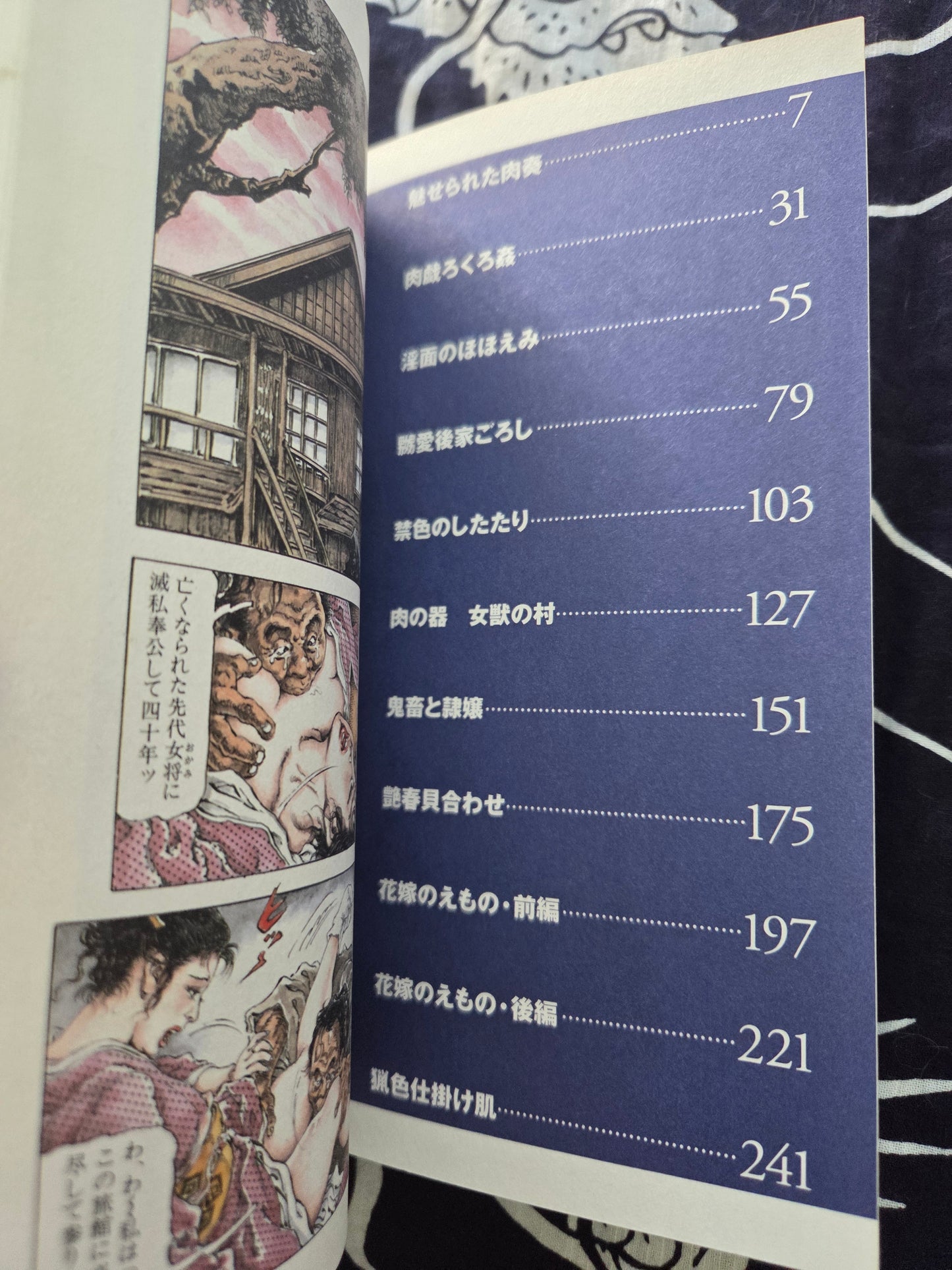 Obscene Picture Scroll 6 - Shiro Kasama (2004)