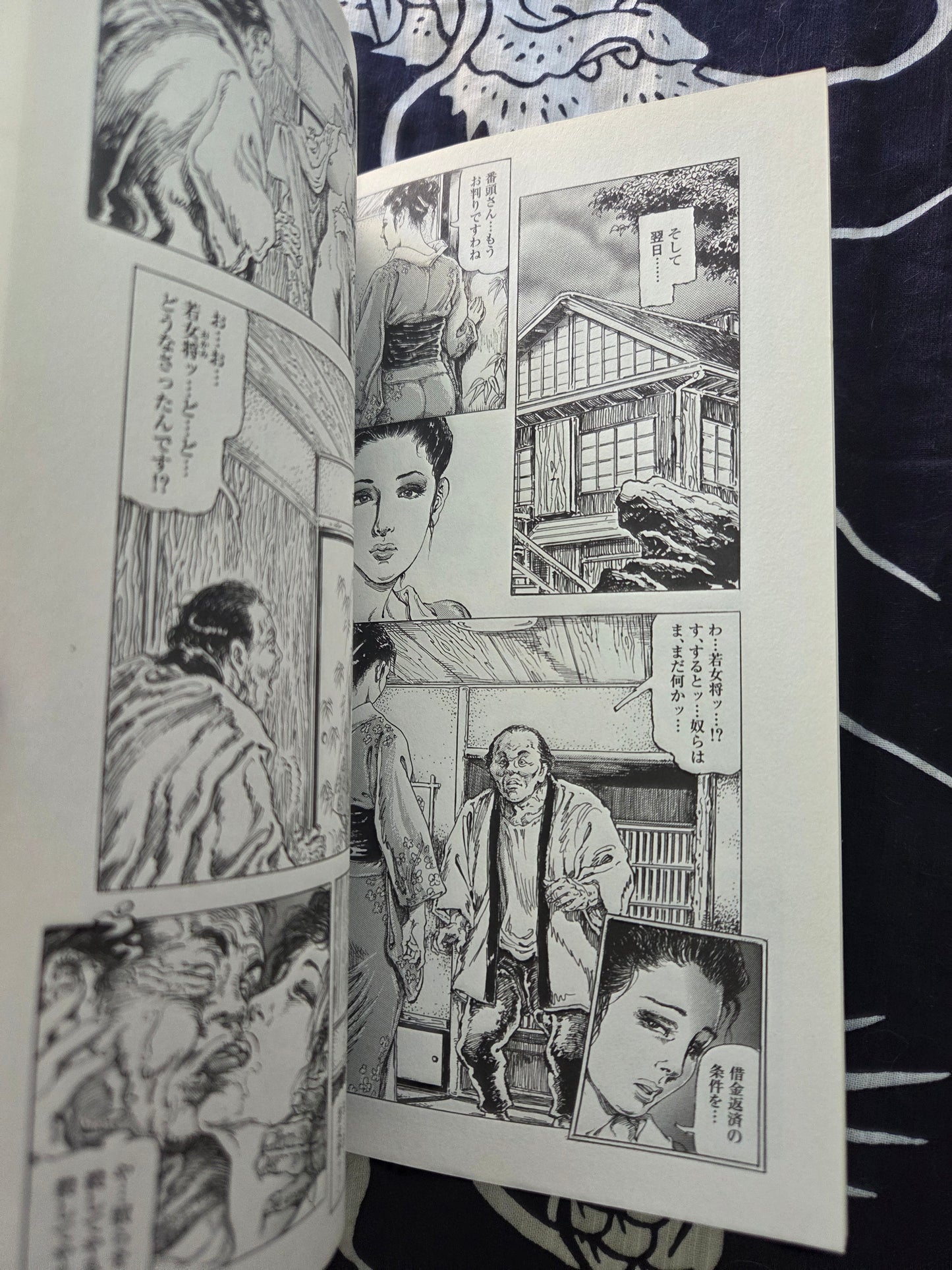 Obscene Picture Scroll 6 - Shiro Kasama (2004)