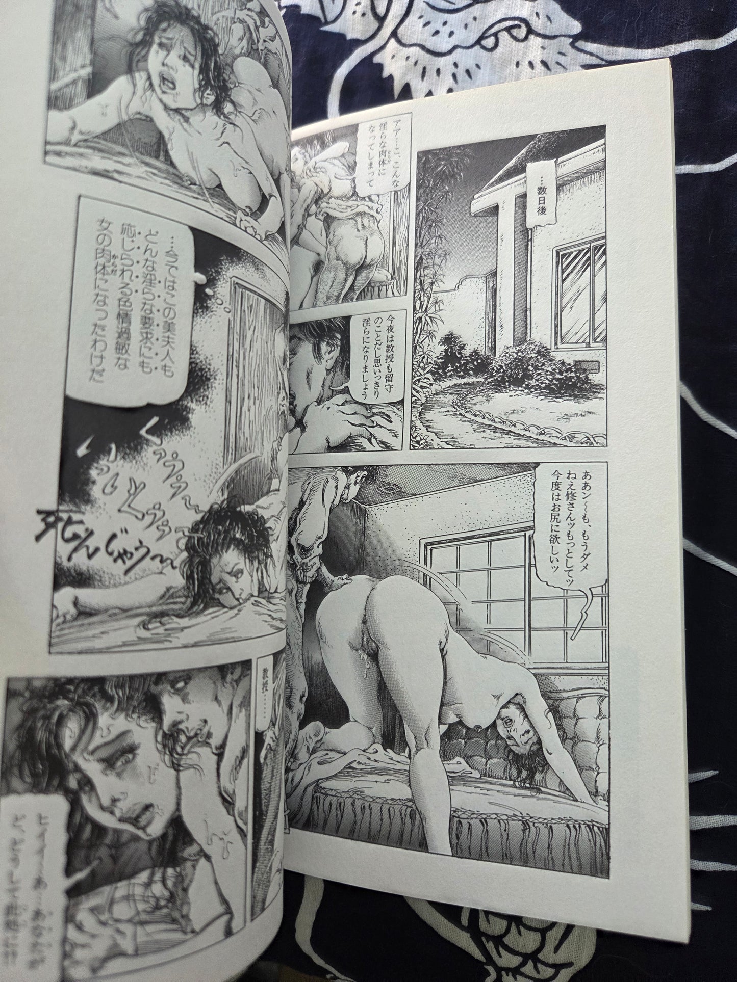 Obscene Picture Scroll 6 - Shiro Kasama (2004)