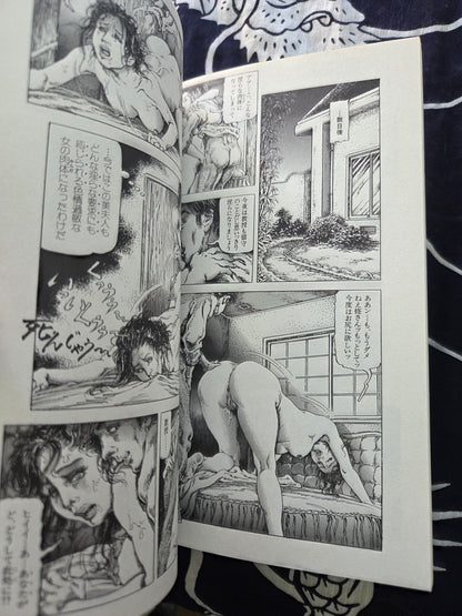 Obscene Picture Scroll 6 - Shiro Kasama (2004)