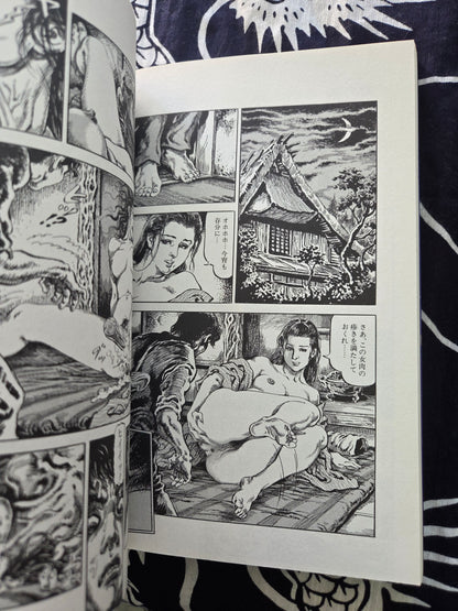 Obscene Picture Scroll 6 - Shiro Kasama (2004)