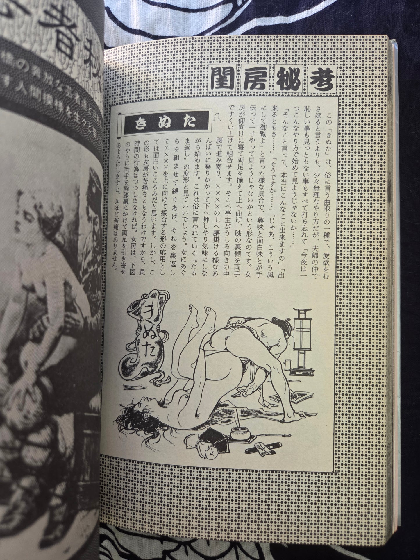 Erotic Masterpiece Collection - SM Fan Special (1983)