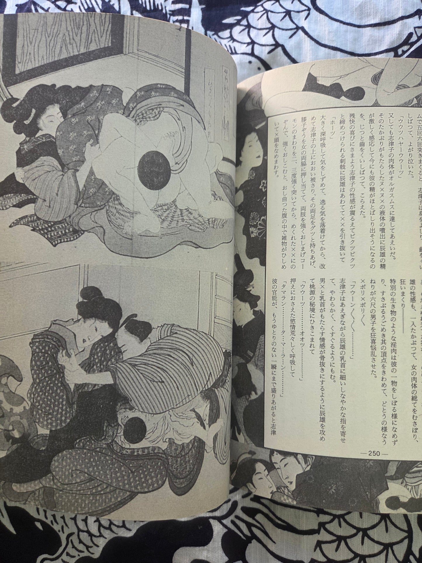 Erotic Masterpiece Collection - SM Fan Special (1983)