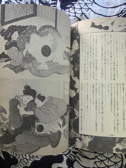 Erotic Masterpiece Collection - SM Fan Special (1983)