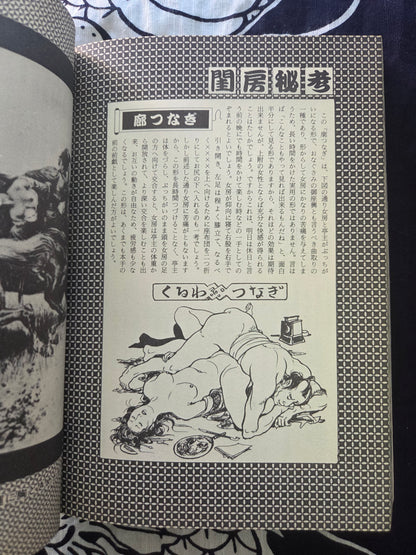 Erotic Masterpiece Collection - SM Fan Special (1983)