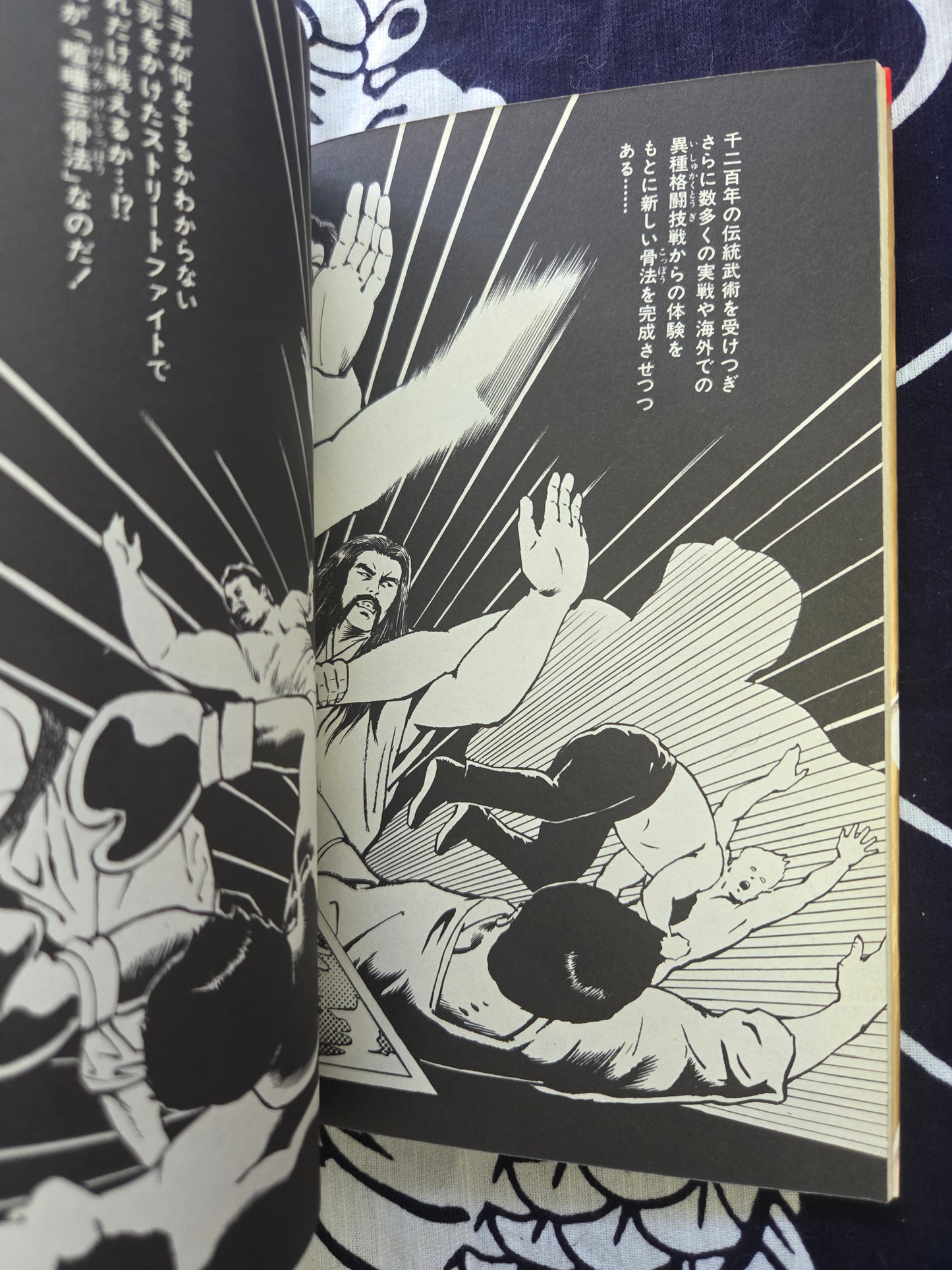 Fighting Special Fist - Bone Technique - Kaze Shinobu (1988)