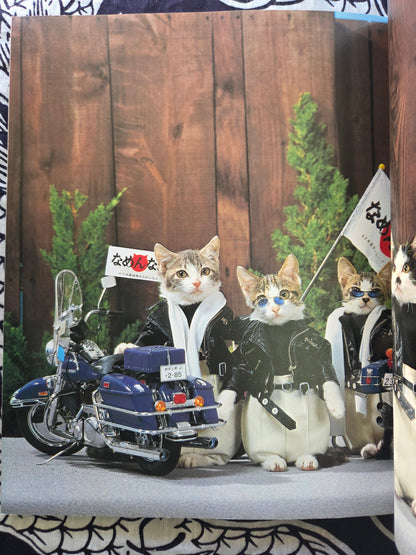 Don't Mess With Me! Namennayo Cats (1981)