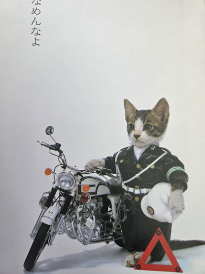 Don't Mess With Me! Namennayo Cats (1981)