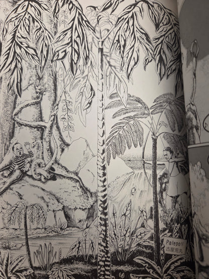 Palepoli - Furuya Usamaru (1996)