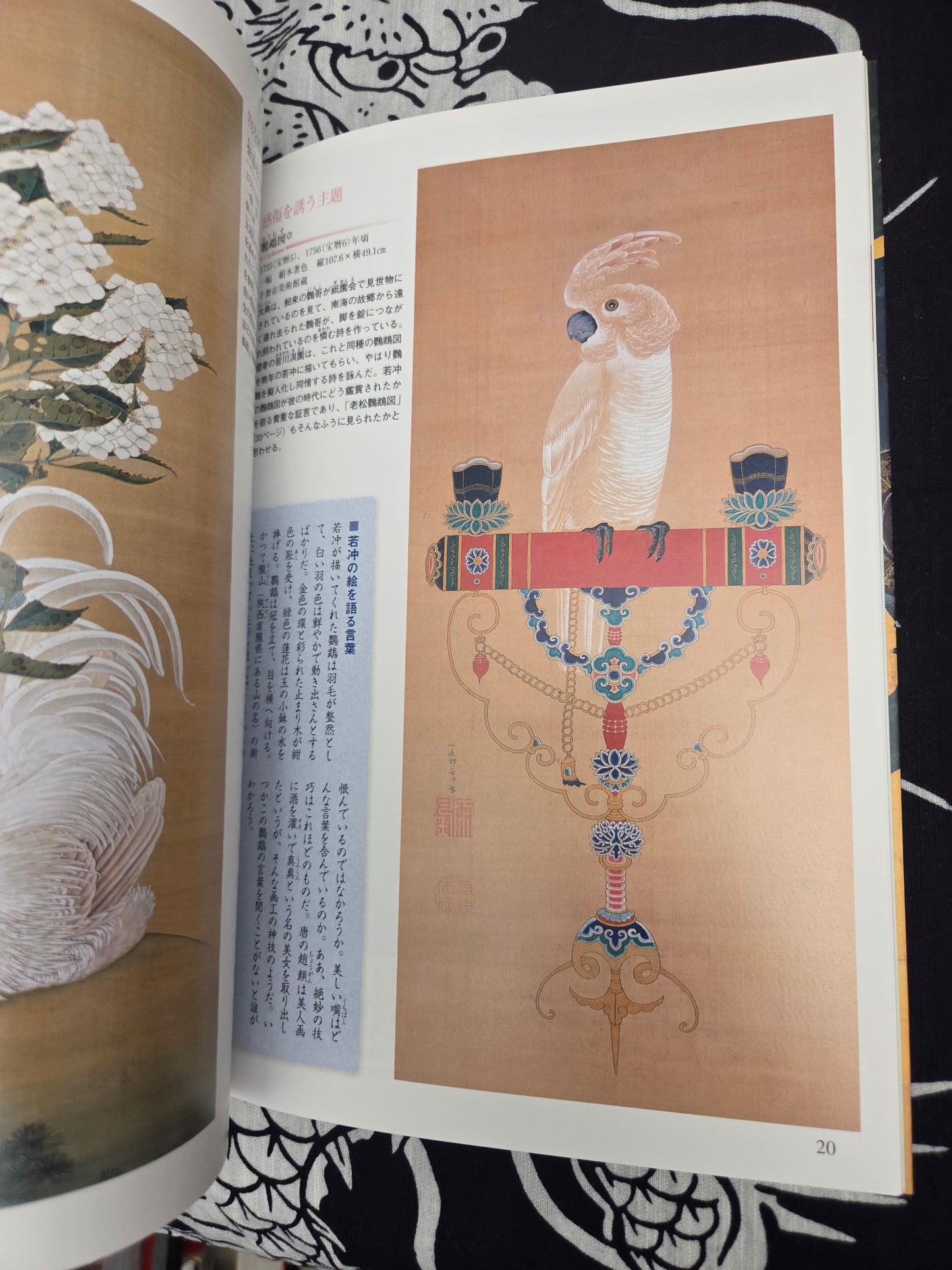 I Want To Know More About Jakuchu Ito (2014)