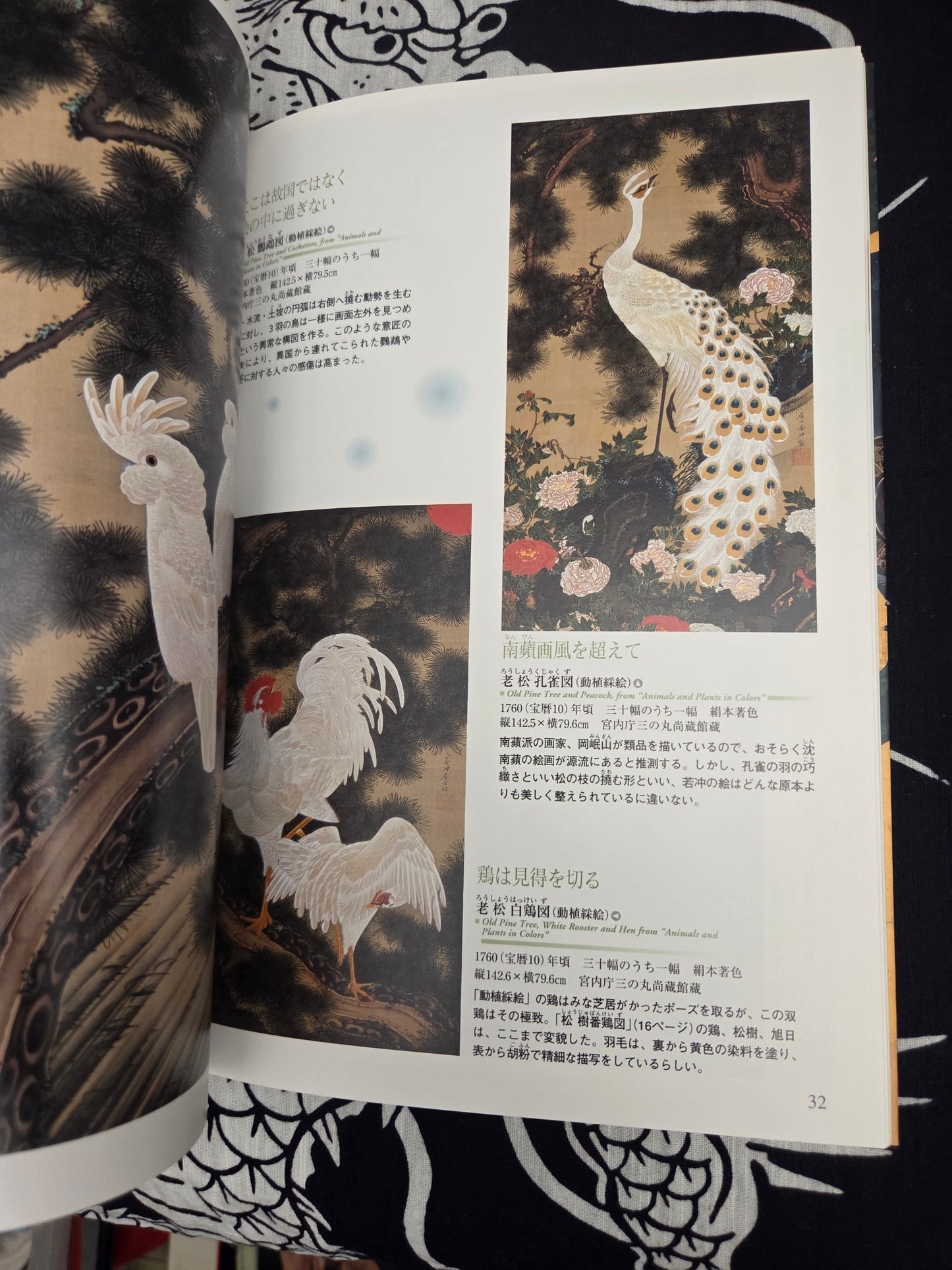 I Want To Know More About Jakuchu Ito (2014)