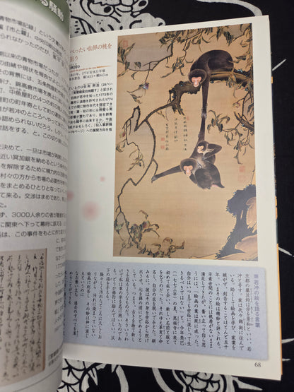 I Want To Know More About Jakuchu Ito (2014)