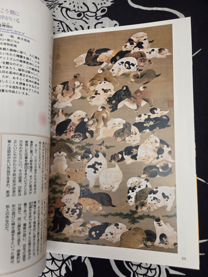 I Want To Know More About Jakuchu Ito (2014)