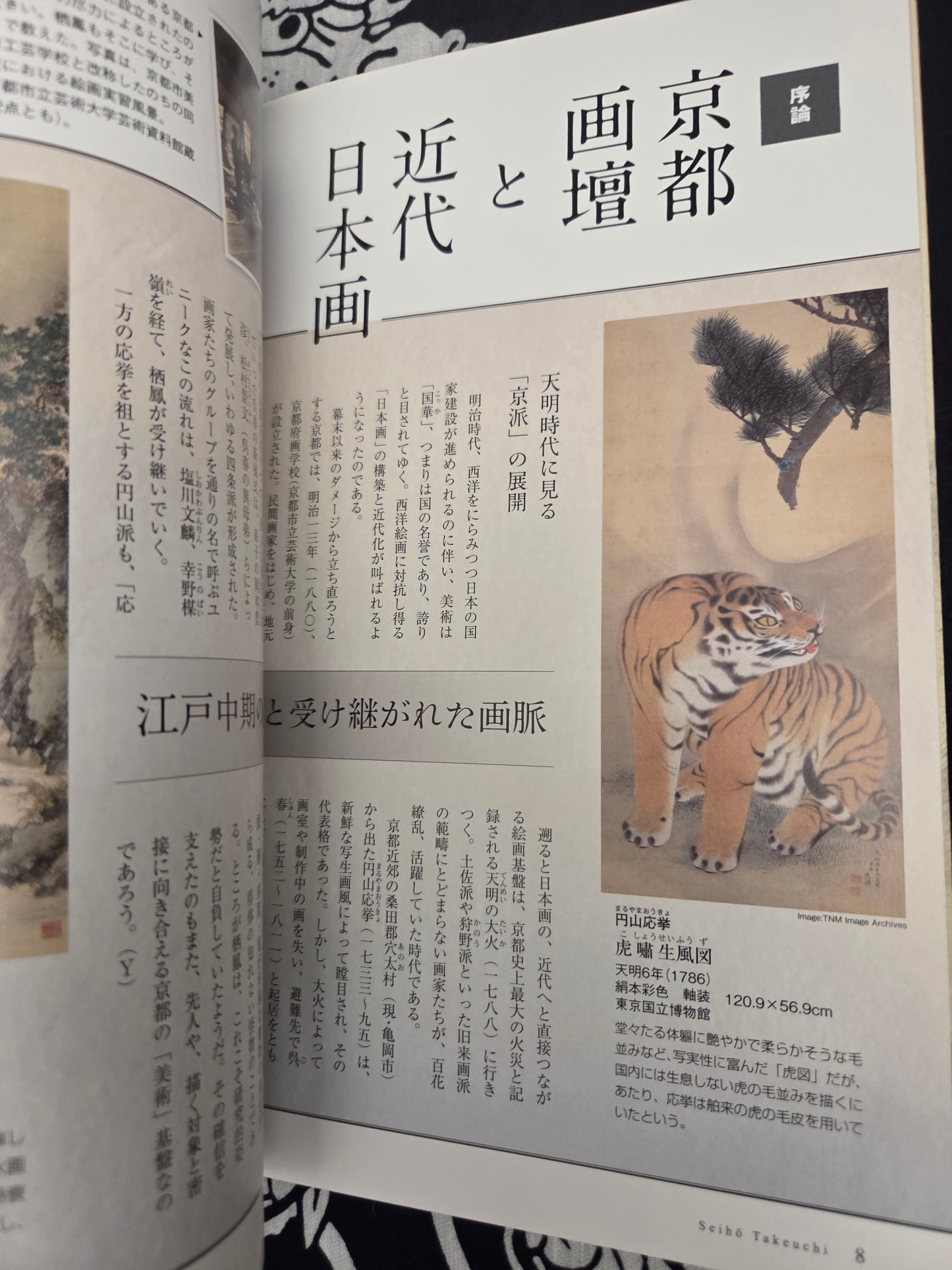 I Want To Know More About Takeuchi Seiho (2013)