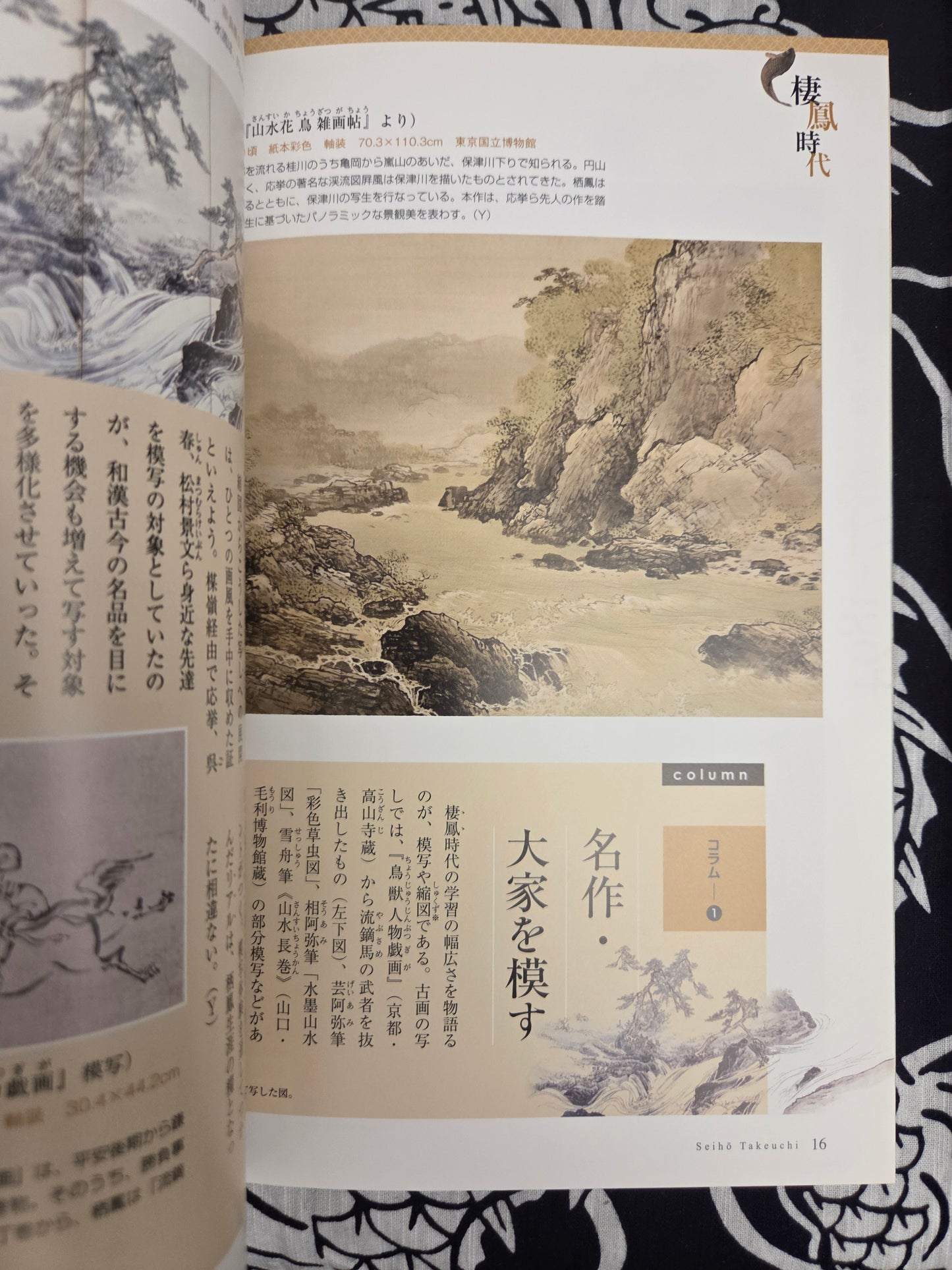 I Want To Know More About Takeuchi Seiho (2013)