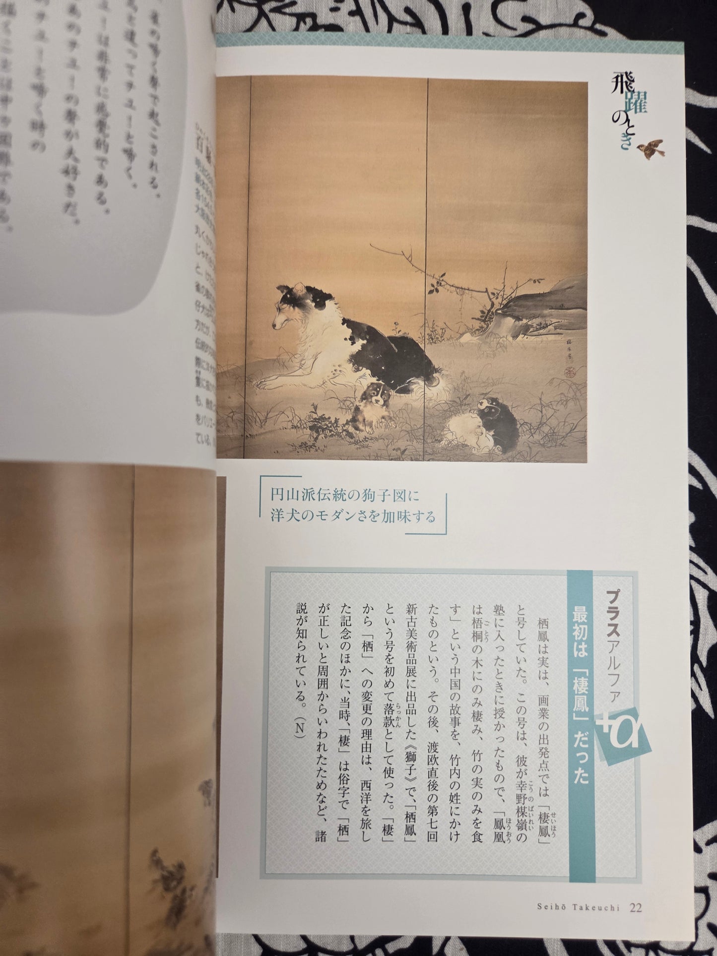 I Want To Know More About Takeuchi Seiho (2013)