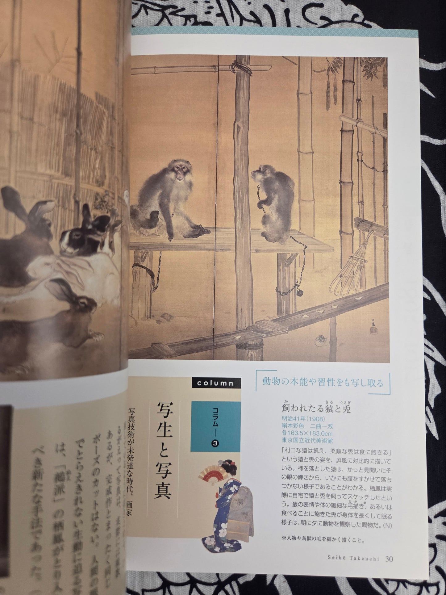 I Want To Know More About Takeuchi Seiho (2013)