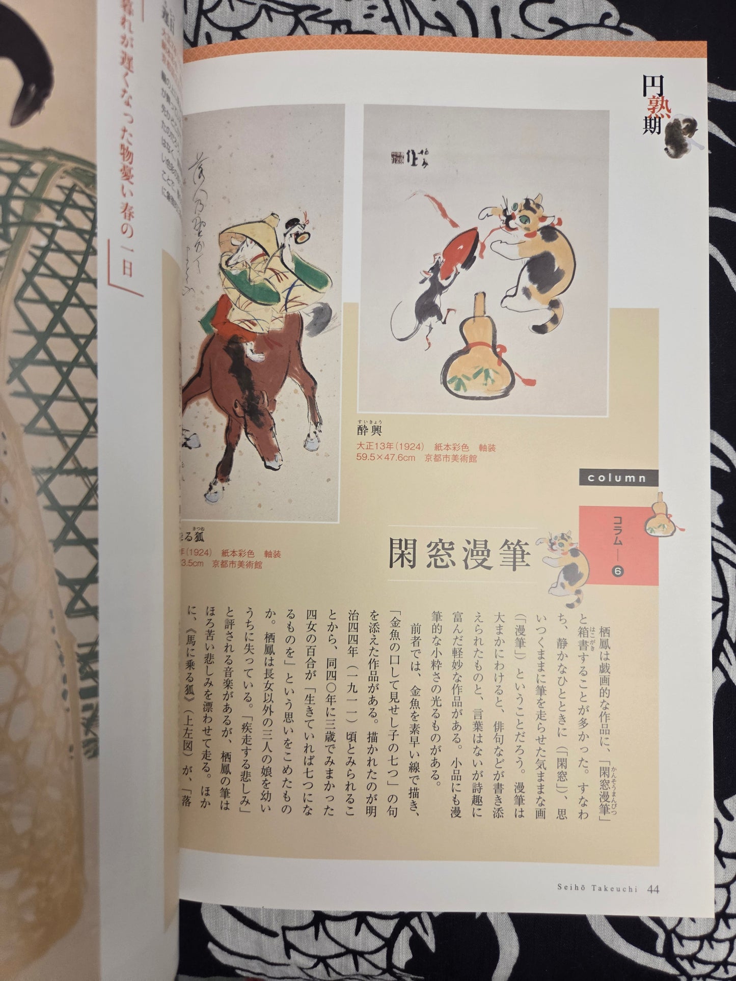 I Want To Know More About Takeuchi Seiho (2013)