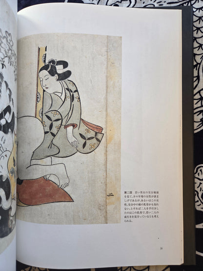 Eira Shunga Ehon Mokuroku (2007)