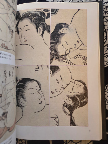 Eira Shunga Ehon Mokuroku (2007)