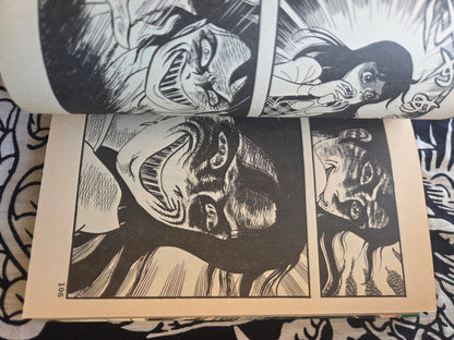 The Woman With A Broken Face - Koji Sugito (1984)