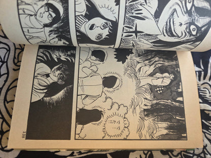 The Woman With A Broken Face - Koji Sugito (1984)