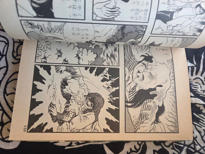 The Woman With A Broken Face - Koji Sugito (1984)