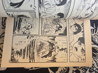 The Woman With A Broken Face - Koji Sugito (1984)