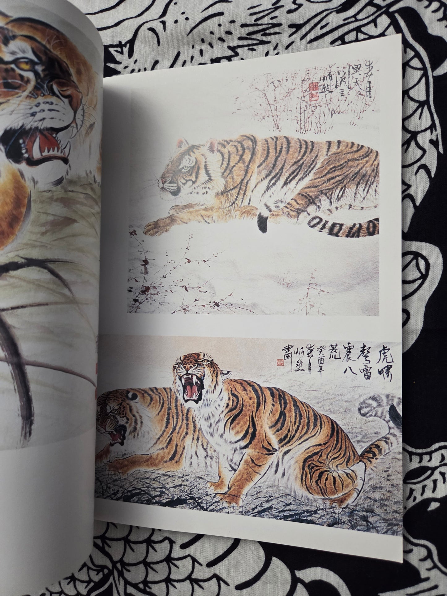 Drawing Tigers - Duan Xinran (1997)