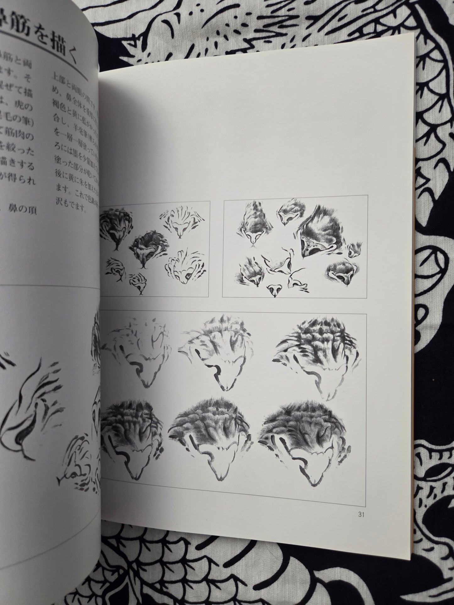 Drawing Tigers - Duan Xinran (1997)