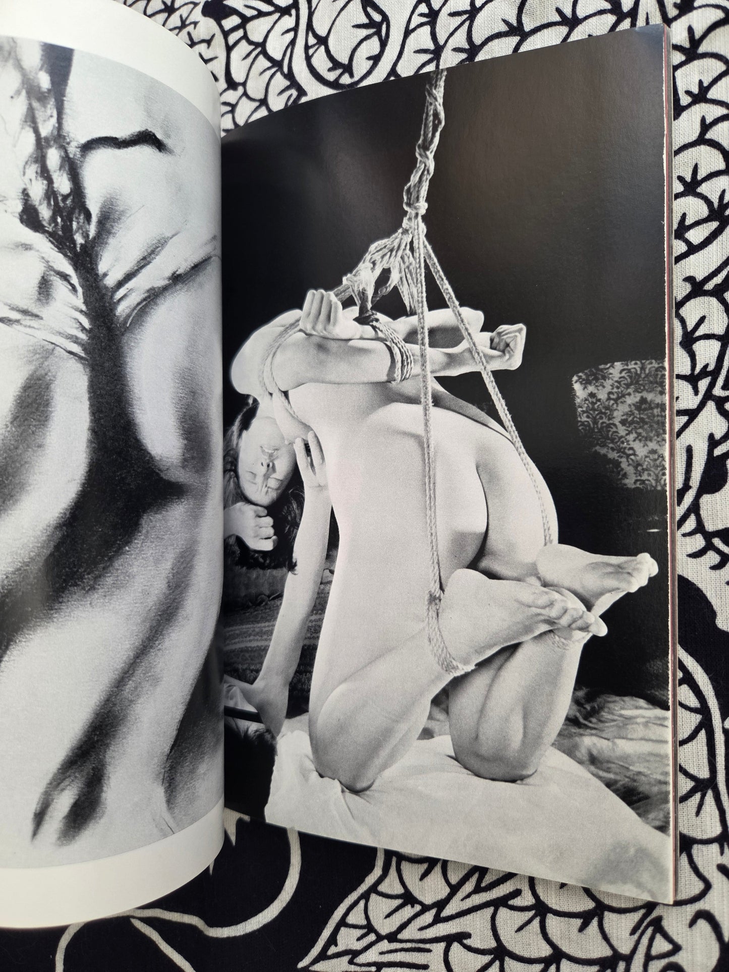 S&M Sniper - June 1981