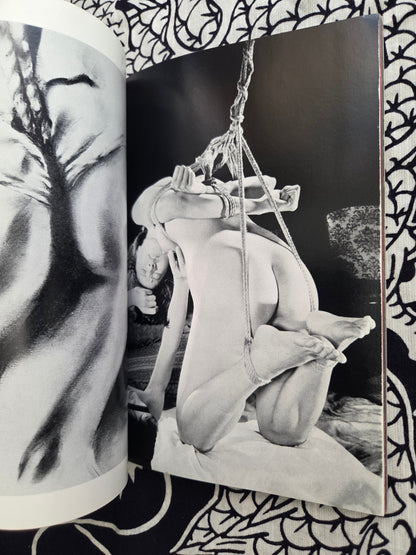 S&M Sniper - June 1981