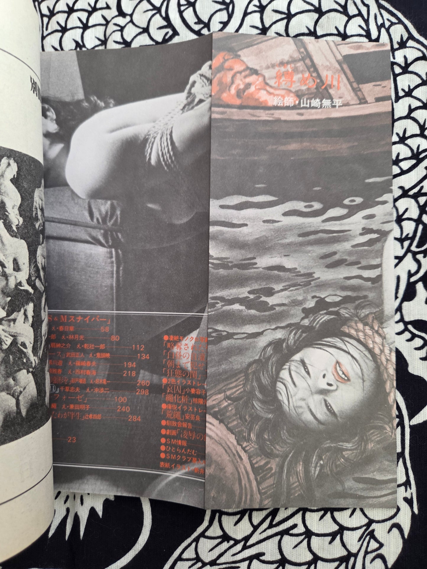 S&M Sniper - June 1981