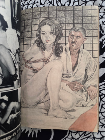 S&M Sniper - June 1981