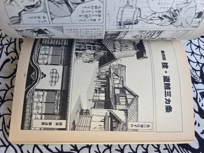 Female Instigator - Ken Tsukikage (1978)