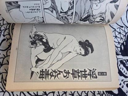 Female Instigator - Ken Tsukikage (1978)