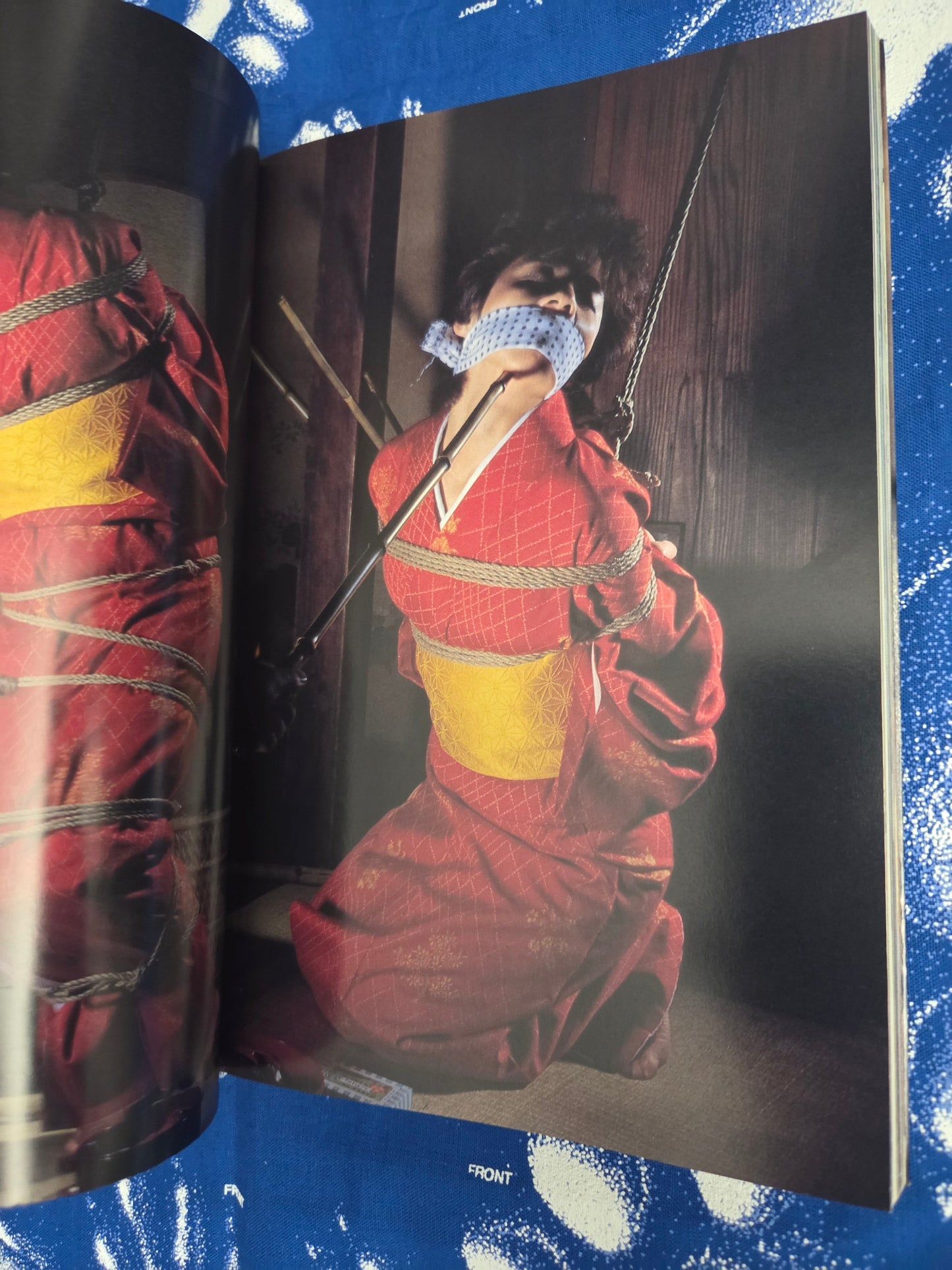 SM Bondage Mania Photo Collection (1993)